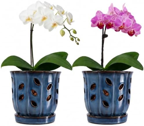FoldTier 2 Pack 6.5 '' Ceramic Orchid Pot with Drainage Holes and Saucer by FoldTier