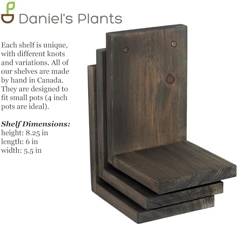 Daniel's Plants 3-Pack Mid-Century Modern L-Shaped Floating Shelves | Solid Wood Plant Ledge | Wall Mounted Shelf Kit (Prairie Sand) - Image 7
