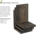Daniel's Plants 3 Pack Mid-Century Modern L Shaped Wooden Plant Shelf Kit | Wall Mounted Floating Shelves | Solid Wood Wall Planter Shelf | Midnight Black - Image 7