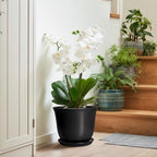 Ceramic Pots for Plants - 10 Inch Plant Pot with Drainage Hole and Tray, Large Round Planter for Indoor Outdoor, Morden Decorative Flower Pots, Living Room Decor, Gardening Gifts, Black - Image 6