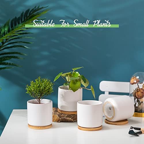 4 Inch White Ceramic Plant Pots with Drainage Holes, Adorable Flower Planter Pot with Tray for Indoor Succulent Plants, Snake Plants, Cactus & Herbs, Set of 4 (Plant Not Included) - Image 2