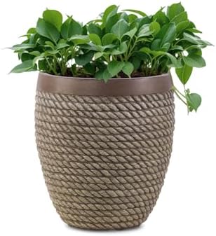 Plant Pots Outdoor Large Planter for Trees, 28.2cm Round Concrete Plant Pot Indoor Garden Plant Containers with Drainage Holes, cBeige by Unknown
