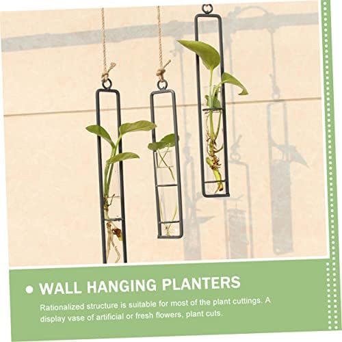 POPETPOP 3pcs Glass Propagation Tubes Wall Hanging Decor - Image 4