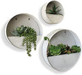 Vandue Modern Home Round Living Wall Mounted Galvanized Steel/Zinc Succulent/Herb Planter - Indoor/Outdoor Living Art Potting Vessel (Aged Zinc, Set of 3) by Vandue