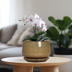 G EPGardening 7 Inch Ceramic Pots for Plants - Ceramic Planters for Indoor Outdoor Plants, Round Plant Pots with Drainage and Saucer, Modern Planter, House Decor, Plant Lover Gifts, Speckled Brown - Image 2