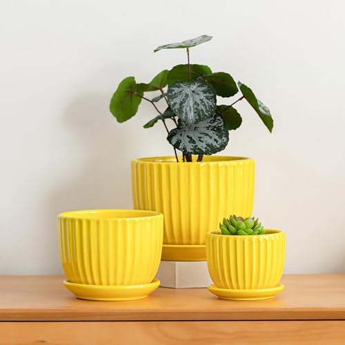 Ceramic Planters,Yellow Plant Pots with Drainage Holes and Saucers Set of 3 - Image 6