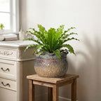 10 Inch Plant Pot, Ceramic Planter, Yellowish Brown - Image 7