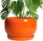 SQOWL Ceramic Planter - 10 Inch Plant Pot with Drainage Hole and Saucer, Round Modern Planter for Indoor Outdoor Plants, Decorative Large Flower Pot, House Decor, Gifts for Women Men, Orange by SQOWL