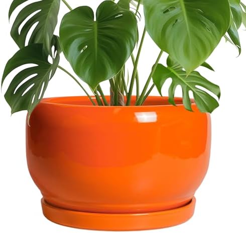 SQOWL Ceramic Planter - 10 Inch Plant Pot with Drainage Hole and Saucer, Round Modern Planter for Indoor Outdoor Plants, Decorative Large Flower Pot, House Decor, Gifts for Women Men, Orange by SQOWL