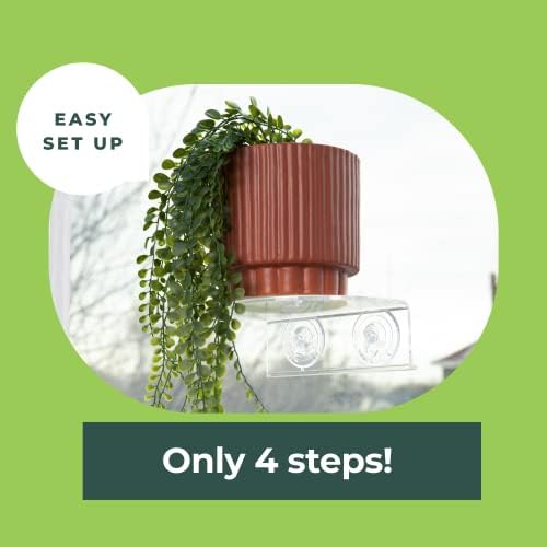 Window Garden Veg Ledge Suction Cup Window Shelf – Create an Indoor Garden, Hold Your Planter Pots, Seed Starter, Figurines on Your Window. Grow Herbs, Microgreens, Succulents, Sleek (2 Pack) - Image 5