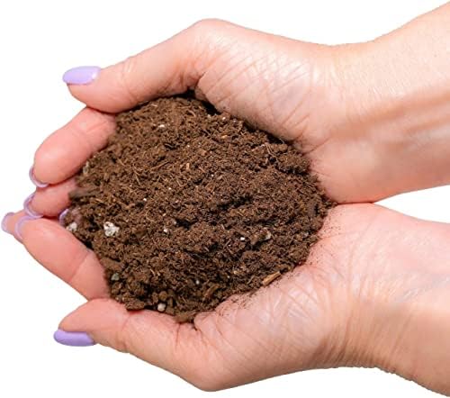GARDENERA Citrus Tree Potting Soil Mix, Special Blend for Indoor Oranges, Lemons, Limes and More - (4 Quart Bag) - Image 4