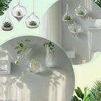 Zopeal 6 Pcs Glass Hanging Planter Wall Vase Terrarium Hydroponic Plants - Image 5