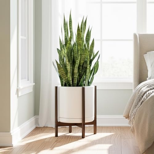 D'vine Dev Ceramic Pot with Walnut Wood Stand, White, 14 in, 55-B-T-1 - Image 2