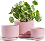 LE TAUCI Ceramic Pots for Plants, 4.3+5.3+6.8 Inch, Set of 3, Pink by LETAUCI