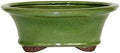 Brussel's Bonsai - Medium Ceramic Bonsai Plant Pot, Oval Glazed Planter by BrusselsBonsai