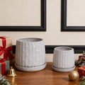 6" Glazed Ceramic Planter Set with Bamboo Texture, White by Noeko