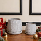 6" Glazed Ceramic Planter Set with Bamboo Texture, White by Noeko