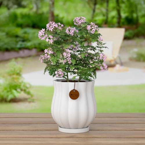 7.1" Matte White Ceramic Plant Pot with Saucer - Image 6