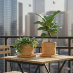 Nihow 8 Inch Ceramic Plant Pot with Drainage & Square Saucer,Terracotta - Image 6