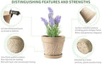 Indoor Plant Pots and Succulent Tools - Image 3