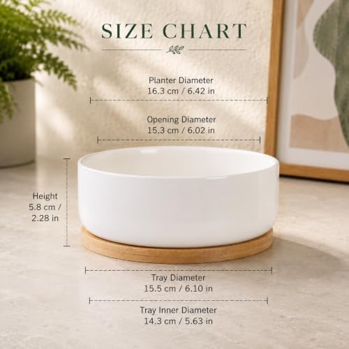 LUOZZY White Ceramic Succulent Planter Pot with Bamboo Tray for Indoor - Image 2