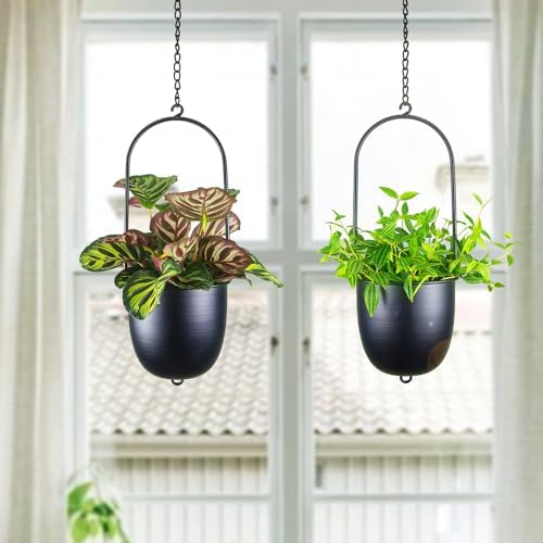 Metal Hanging Planters Set of 2 with 6 Inch Oval Pots - Stackable and Connectable Plant Hangers - Black Modular Wall and Ceiling Mount Holders for Indoor and Houseplants - Image 5