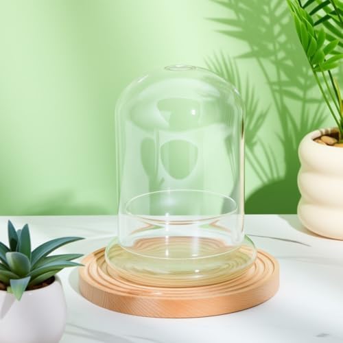 2 Pcs 4.7 x 6.3 Inch Clear Glass Dome Terrarium with Air Hole & Base - Image 4