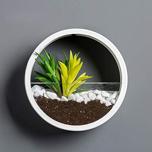 Pack of 4 Round Wall Planters Hanging Metal Plant Containers Circle Plant Holder Contemporary Morden Circle Iron Vase for Succulents or Herbs Cactus and More (White) - Image 7