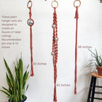 Set of 3 Macrame Plant Hanger | Disco ball decor Hanging planters for indoor plants Cool gifts for plant lovers Boho plant pots plant stand indoor Hanging planters for outdoor plants (Cafe Latte) - Image 6