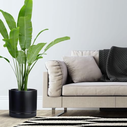 Yukfona Ceramic Plant Saucer Tray 1 Pcs 14 15 Inch Black, 14.3" OD x13.5 ID x2 Deep| Fits Flower pots Bottom≤ 13.5", Heavy Duty Glazed Round Planter Drip with Catch Basin for Indoor Outdoor Plants - Image 6