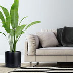 Yukfona Ceramic Plant Saucer Tray 1 Pcs 14 15 Inch Black, 14.3" OD x13.5 ID x2 Deep| Fits Flower pots Bottom≤ 13.5", Heavy Duty Glazed Round Planter Drip with Catch Basin for Indoor Outdoor Plants - Image 6