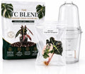 Alocasia Polly Pink Variegated, Complete Tissue Culture Kit – Live Alocasia Plant, Rare Indoor Houseplant by Unknown
