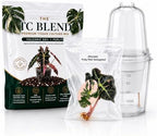 Alocasia Polly Pink Variegated, Complete Tissue Culture Kit – Live Alocasia Plant, Rare Indoor Houseplant by Unknown