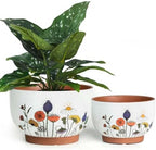 Terracotta Pots, 8+6 Inch Plant Pots, 2 Pcs with Drainage Holes by YBXYIBOXUAN