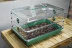 EarlyGrow 24" x 15" x 12.75" Domed Propagator with 2 Height Extenders and Locking Clip Set, Green - Image 6