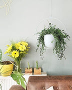 Hanging Planter Indoor Modern Boho Plant Pot Metal Wall and Ceiling Plant Holder, Mid Century Minimalist Flower Pot for Hanging Plants(White) - Image 5