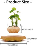 Levitating Plant Pot Hexagon Floating Air Bonsai Pot Suspension Flowerpot Planter for Office Home Decoration - Image 5