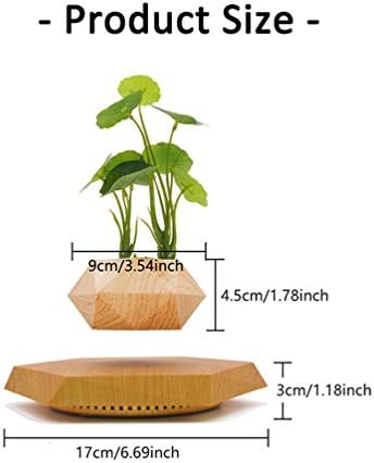 Levitating Plant Pot Hexagon Floating Air Bonsai Pot Suspension Flowerpot Planter for Office Home Decoration - Image 5