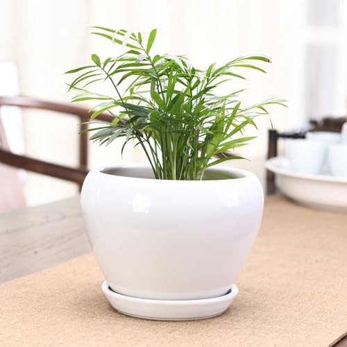 PAYAER Modern White Ceramic Plant Pot Set, Round Indoor/Outdoor Flower Pots with Saucers, Decorative Plant Container for Cactus, Succulents, Garden, Balcony, and Office Decor(25CM) - Image 3