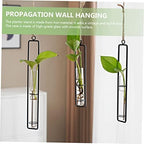 POPETPOP 3pcs Glass Propagation Tubes Wall Hanging Decor - Image 3