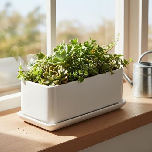 MyGift 10 Inch Modern Unglazed White Ceramic Indoor Plant Pot with Drainage Hole, Rectangular Succulent Planter Window Box with Removable Saucer, 1 Pack - Image 2