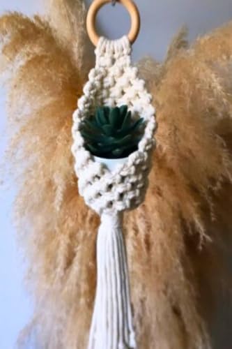 SODEF Macrame Plant Hanger for Cacti & Succulents, Handmade Bohemian Style Pot Holder, Indoor Hanging Basket, Gift for Plant Lovers, Cotton Rope, 10 inch Diameter by Unknown