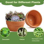 8 Inch Shallow Terracotta Pot for Succulent - 2 Pcs Large Clay Planter Pots with Drainage Hole, Shallow Plant Pottery Pots for Cactus Succulent and Other Indoor Outdoor Plants - Image 4