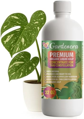GARDENERA Premium Organic Seaweed & Kelp Superfood for Thai Constellation Plants - 32 oz - Liquid Kelp Fertilizer Concentrate (Makes 180 Gallons) by Gardenera