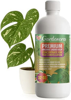 GARDENERA Premium Organic Seaweed & Kelp Superfood for Thai Constellation Plants - 32 oz - Liquid Kelp Fertilizer Concentrate (Makes 180 Gallons) by Gardenera