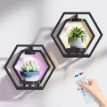 Shineled Wall Planter with Lights, Black Metal Wall Mounted Plant Stand with Adjustable Grow Light, Plant Holder for Indoor Living Room, Patio - 2 Pack by Shineled