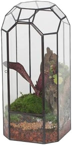 NCYP Glass Geometric Octagon Plant Terrarium with Door 5.5"x5.5"x12.8" by NCYP