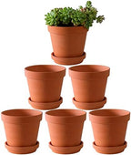 Yishang Large Terra Cotta Pots with Saucer- 6 Pack Large 6'' Terra Cotta Plant Pot with Drainage Hole, Flower Pot with Tray, Terracotta Pot for Indoor Outdoor Plant by Yishang