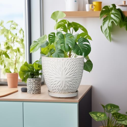 G EPGardening 8 Inch Ceramic Plant Pot with Drainage Hole and Saucer, White - Image 5