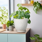 G EPGardening 8 Inch Ceramic Plant Pot with Drainage Hole and Saucer, White - Image 5